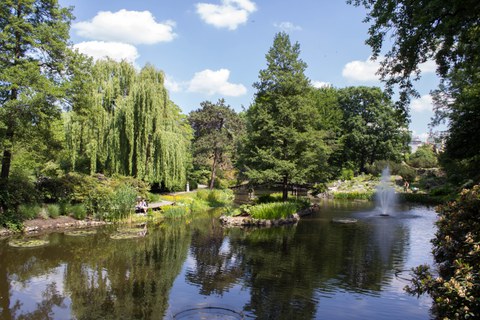 Botanischer Garten