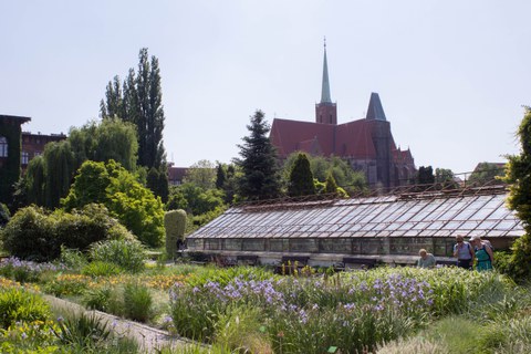 Botanischer Garten
