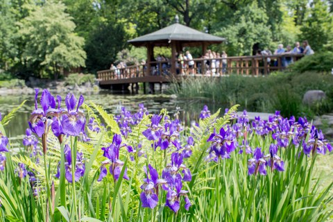 Japanischer Garten
