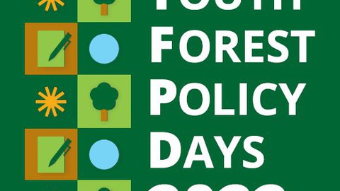 IFSA Youth Forest Policy Days