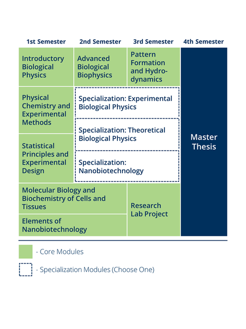 Curriculum of Physics of Life. Link to full description: https://tud.link/8wab