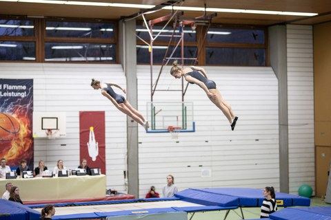 Damen Synchron